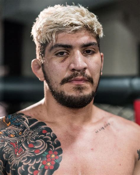 8 Danis competed in the Welterweight division of Bellator MMA. . Cnn dillon danis